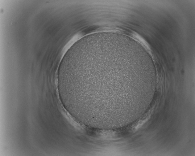 X0000062880907200601201816