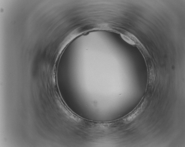 X0000062880908200601201816