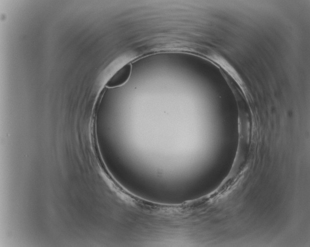 X0000062880909200601201816