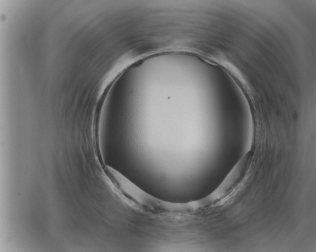 X0000062880910200601201816