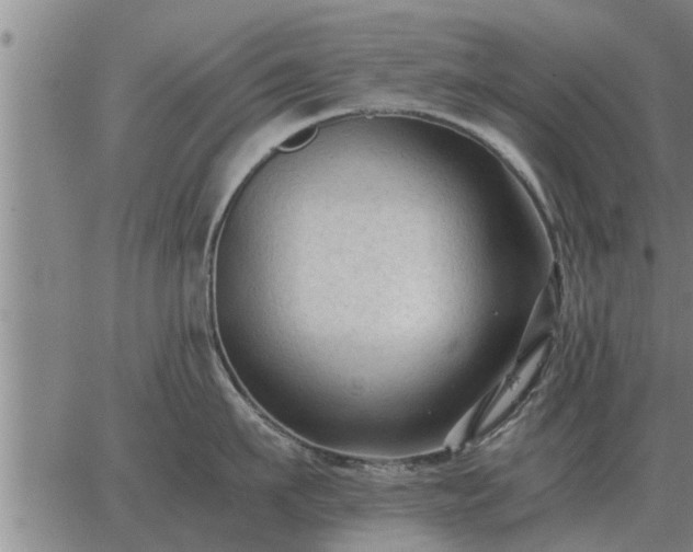 X0000062880911200601201816