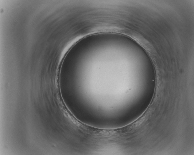 X0000062880912200601201816