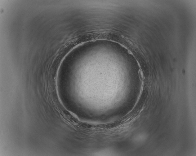 X0000062880913200601201816