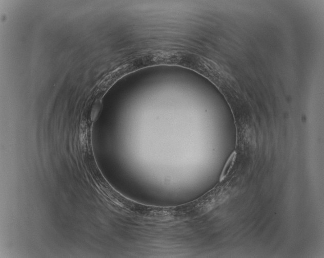 X0000062880914200601201816