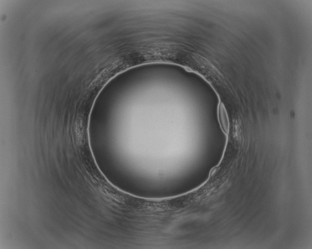 X0000062880915200601201816