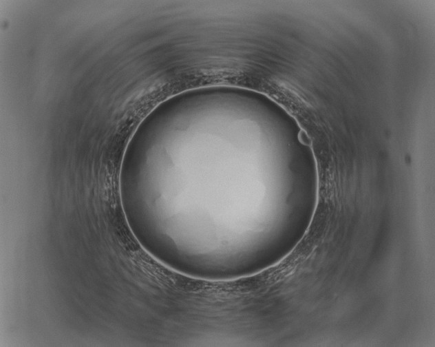 X0000062880917200601201816