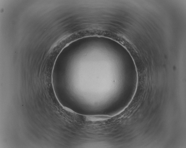 X0000062880919200601201816