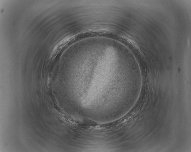 X0000062880920200601201816