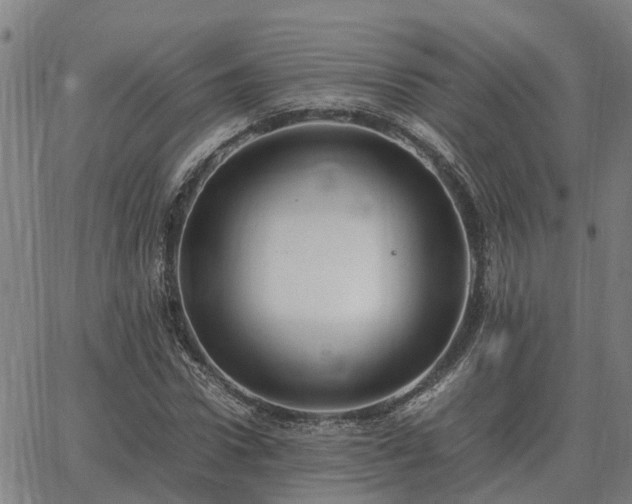 X0000062880922200601201816