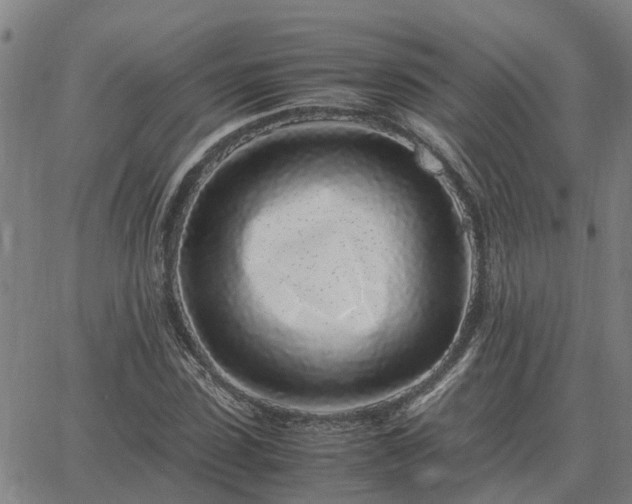 X0000062880923200601201816