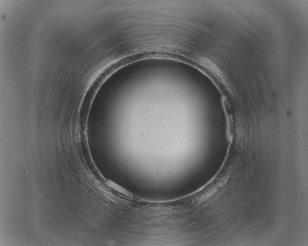 X0000062880924200601201816