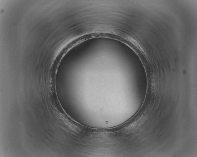 X0000062880926200601201816