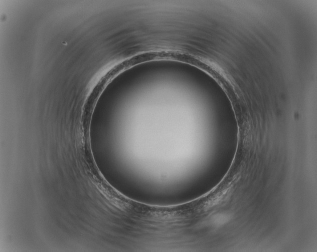 X0000062880927200601201816