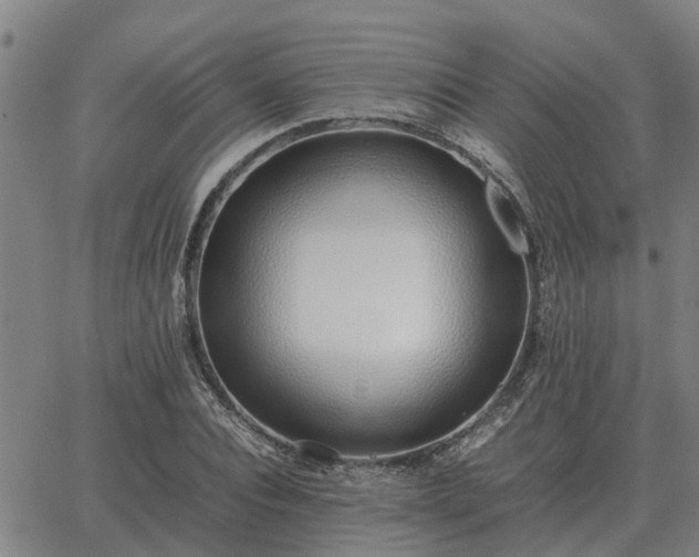 X0000062880928200601201816