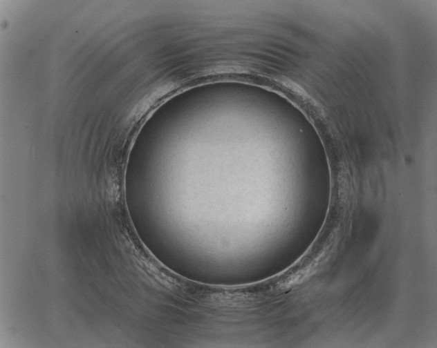 X0000062880929200601201816