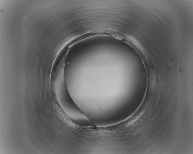 X0000062880932200601201816