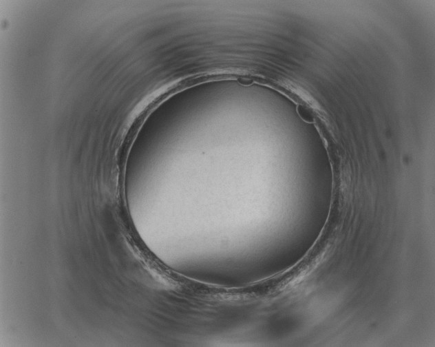 X0000062880933200601201816