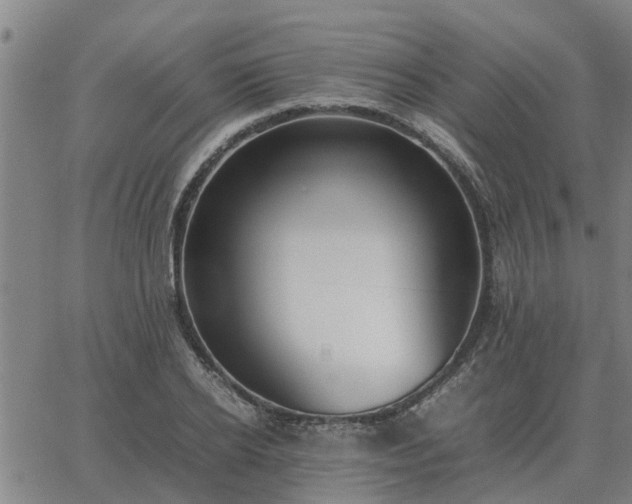 X0000062880934200601201816