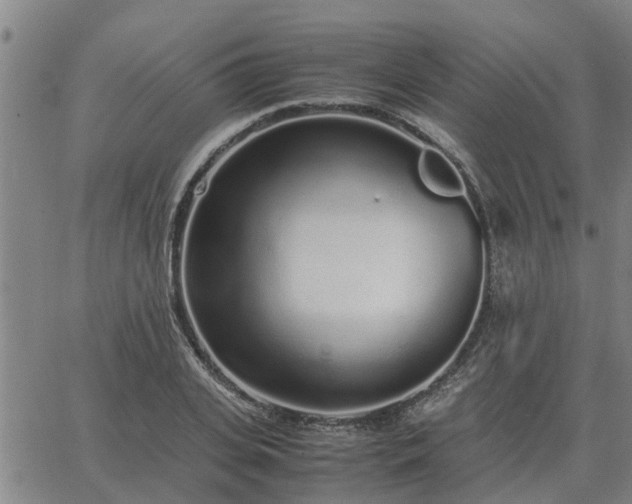 X0000062880935200601201816