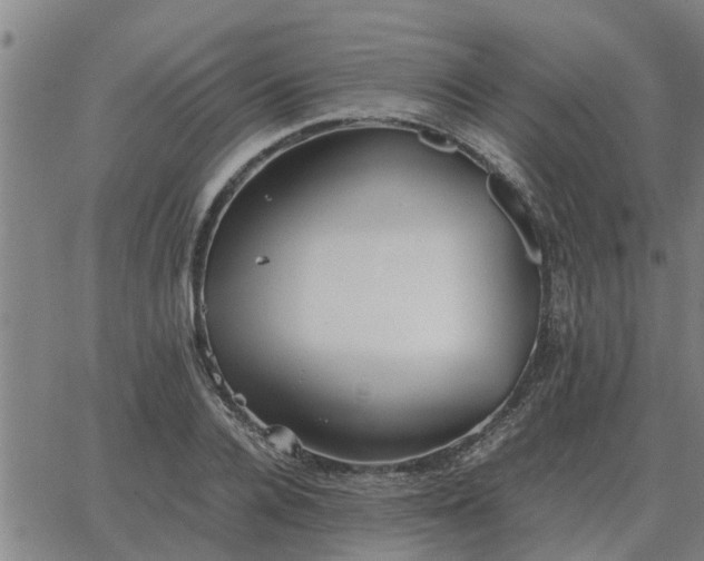 X0000062880936200601201816