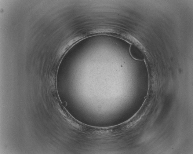 X0000062880937200601201816