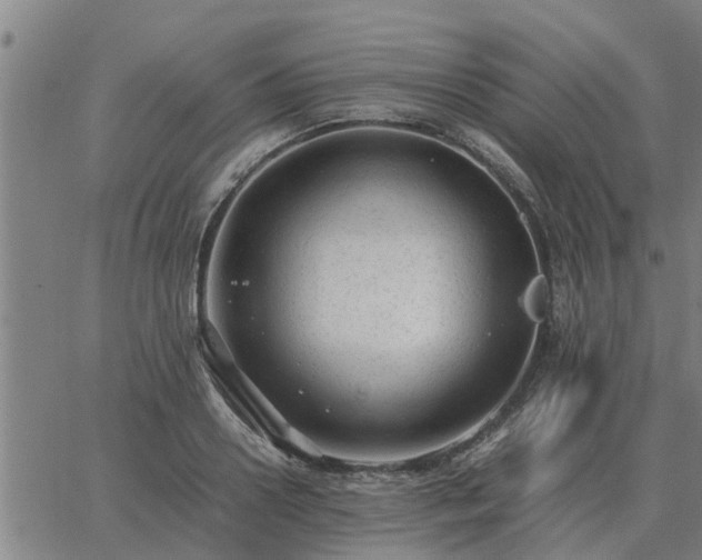 X0000062880938200601201816