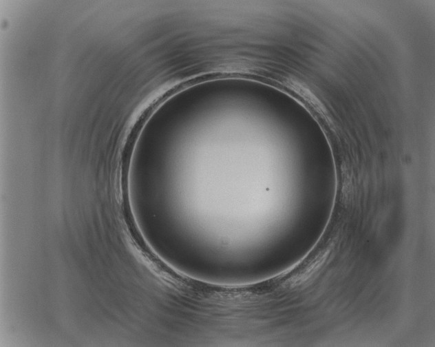 X0000062880939200601201816