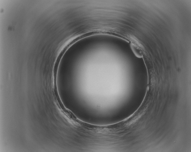 X0000062880940200601201816