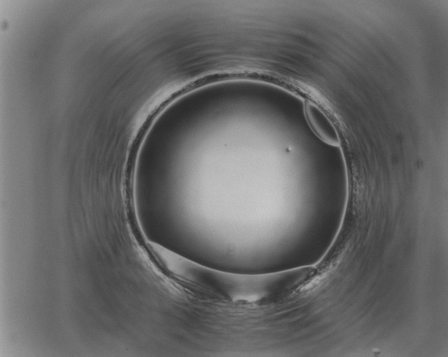 X0000062880943200601201816