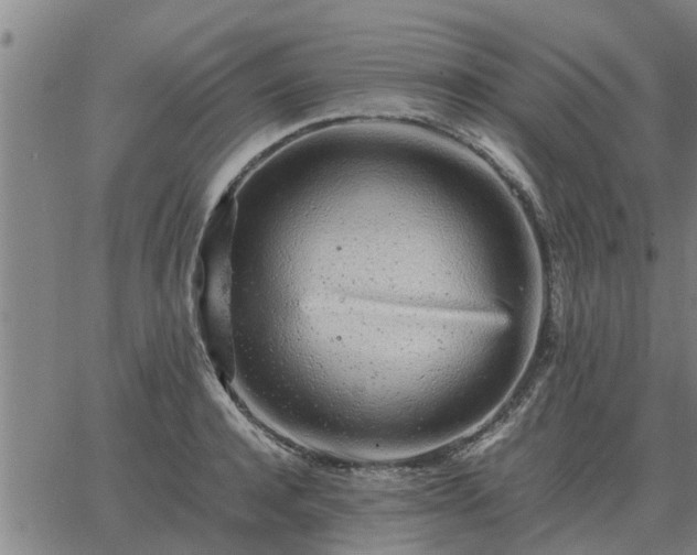 X0000062880944200601201816