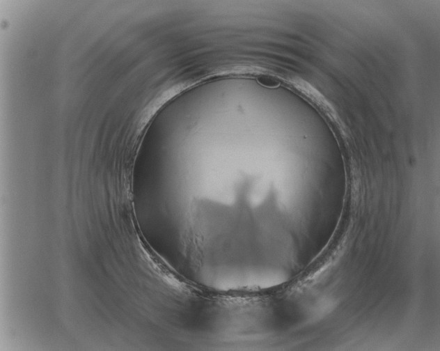 X0000062880945200601201816