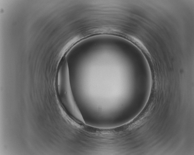 X0000062880946200601201816