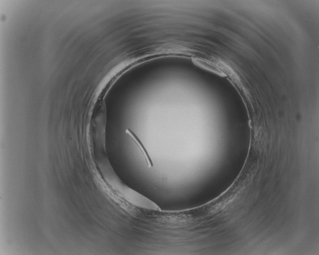 X0000062880947200601201816