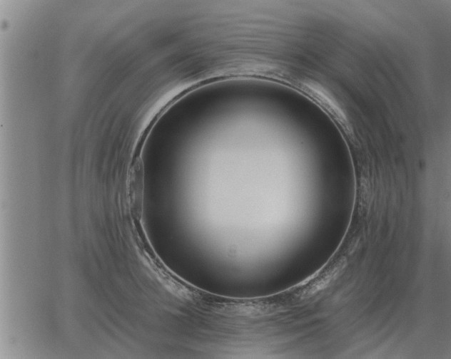 X0000062880948200601201816