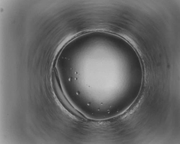 X0000062880949200601201816