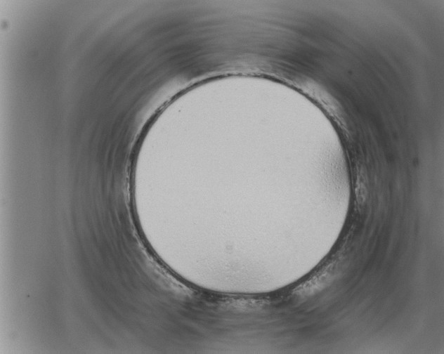 X0000062880950200601201816