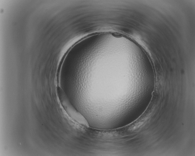 X0000062880951200601201816