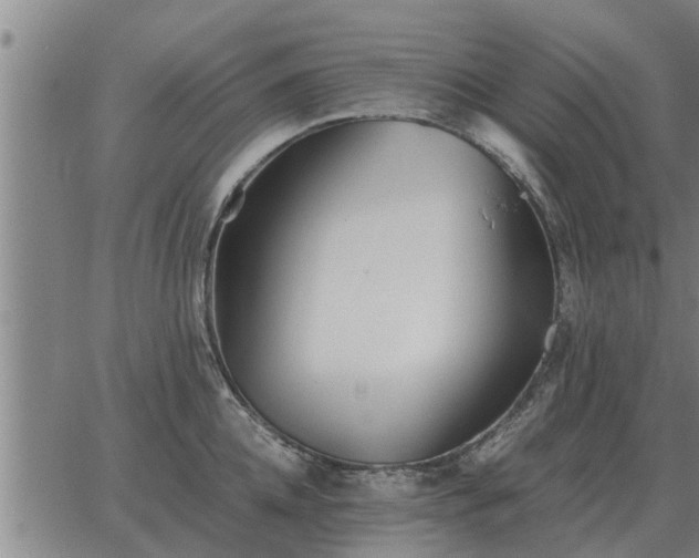 X0000062880952200601201816