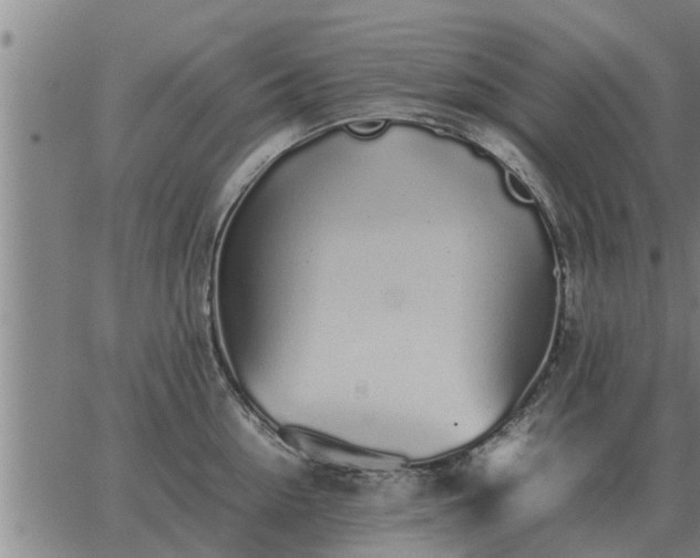 X0000062880954200601201816