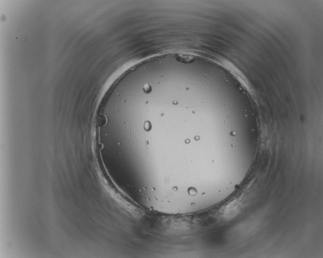 X0000062880955200601201816