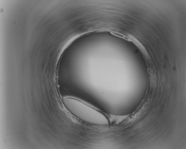 X0000062880956200601201816