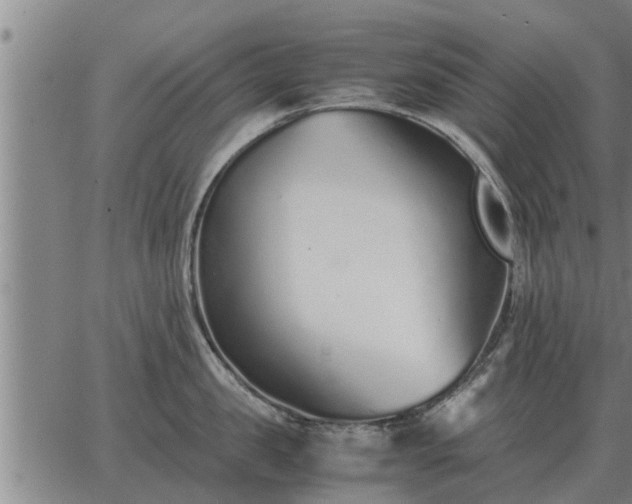 X0000062880957200601201816