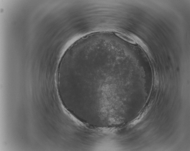 X0000062880958200601201816