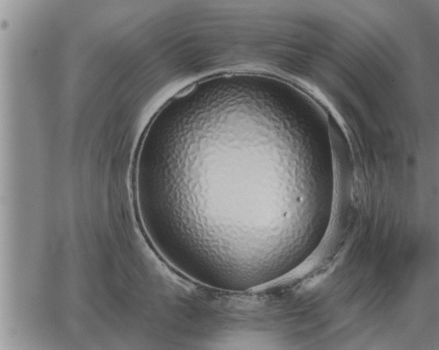 X0000062880959200601201816