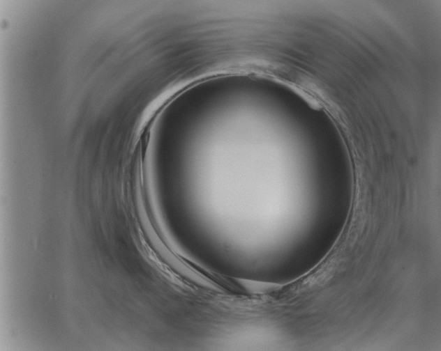 X0000062880960200601201816