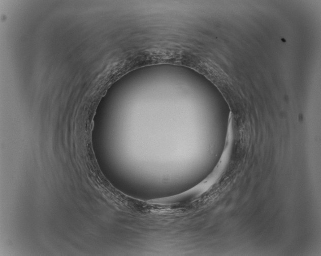 X0000062880961200601201816