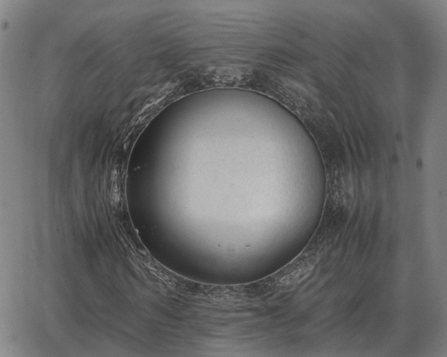 X0000062880962200601201816