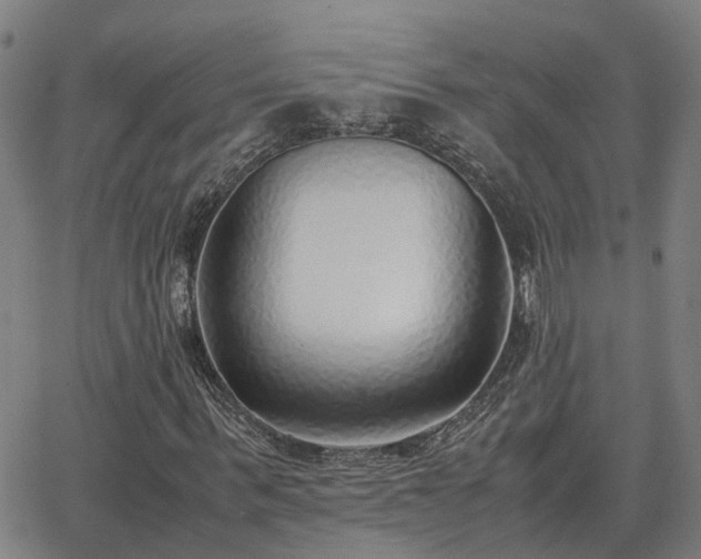 X0000062880963200601201816