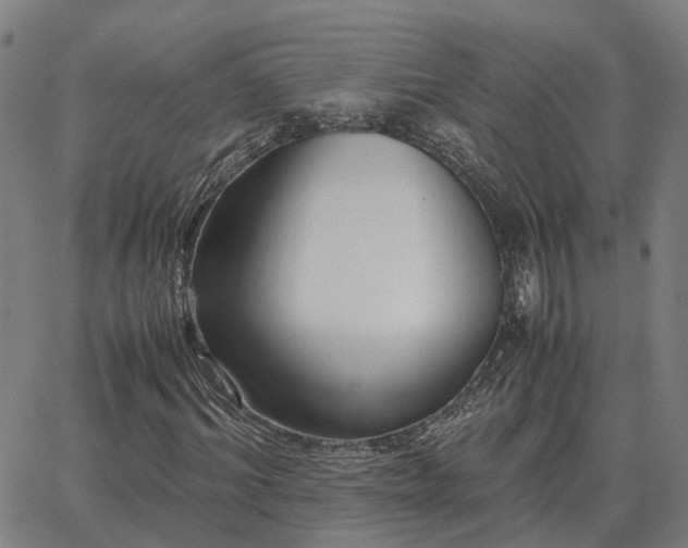 X0000062880964200601201816