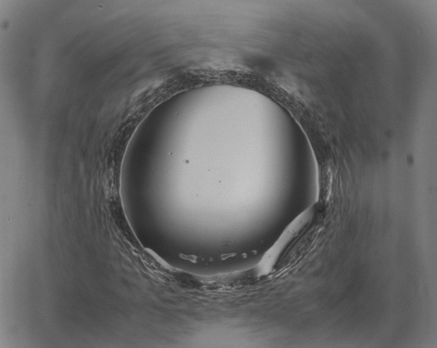 X0000062880965200601201815